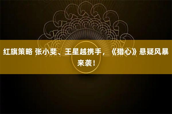 红旗策略 张小斐、王星越携手，《猎心》悬疑风暴来袭！