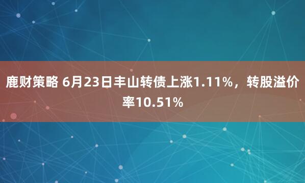 鹿财策略 6月23日丰山转债上涨1.11%，转股溢价率10.51%